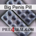 Big Penis Pill 31